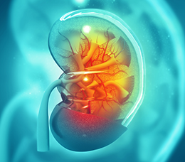 Duke Perspectives From the National Kidney Foundation 2020 Spring Clinical Meetings