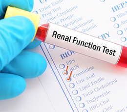 GFR and eGFR: Filtering Out the Confusion