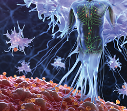 Weighing Treatment Attributes in DLBCL, FL, and CLL