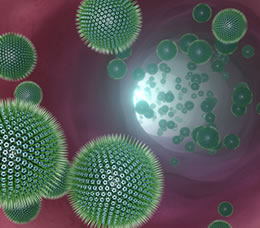 Vaccinating Adults With Chronic Disorders: Insights for the Primary Care Clinician