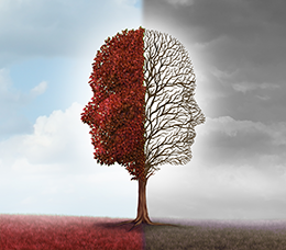 Patient-Centered Maintenance Treatment Plans for Bipolar I Disorder