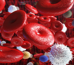 <em>Decision-IQ:</em> Assessing Risk and Preventing Tumor Lysis Syndrome